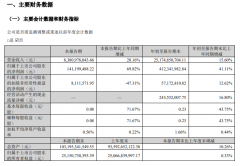 国轩高科 2024 年第三季度净利润 1.41 亿元，同比增长 69.82%